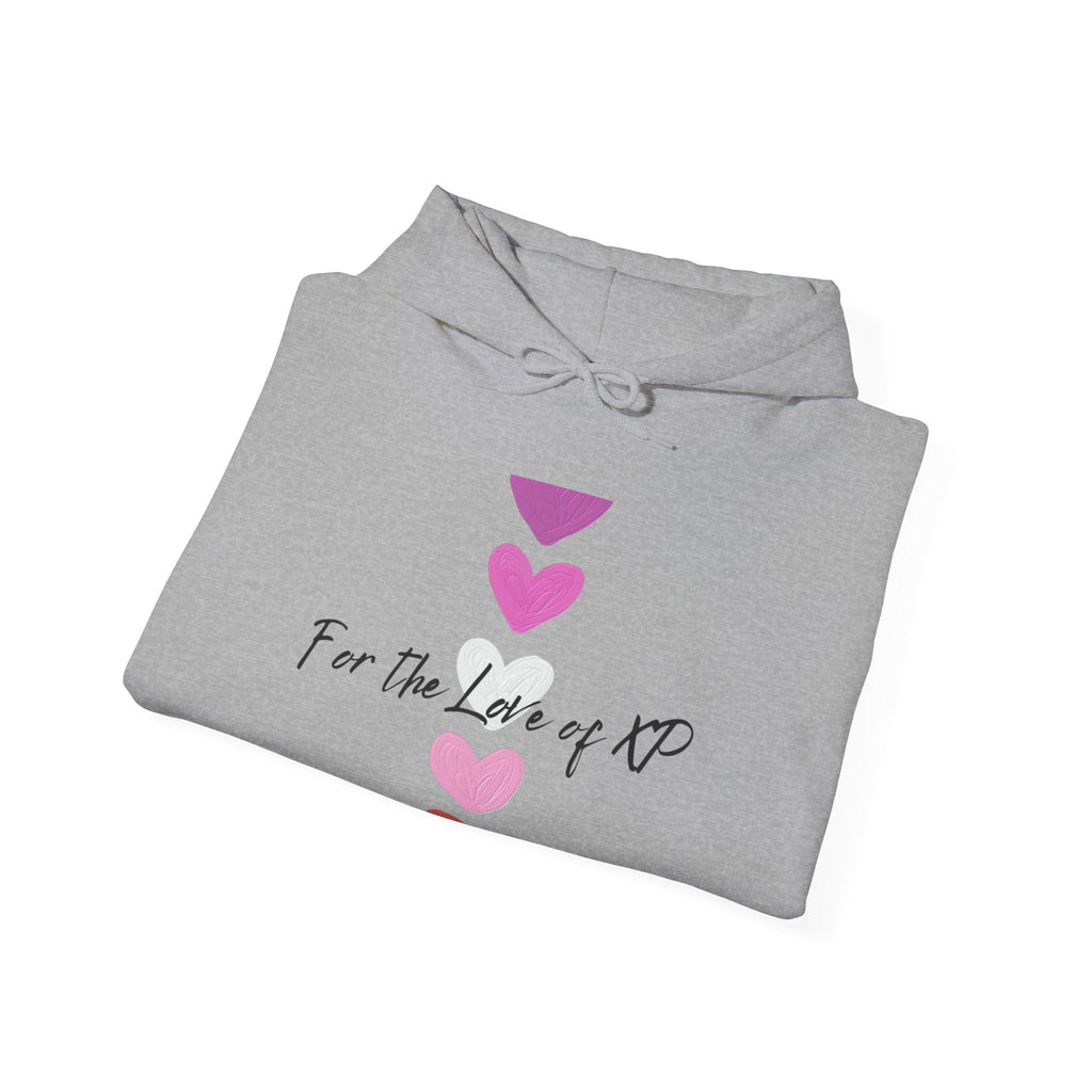 Gamer Quote Heavy Blend Hoodie, Gaming XP Sweatshirt, Video Game Player Pullover, Gamer Gift Jumper, Geek Clothing